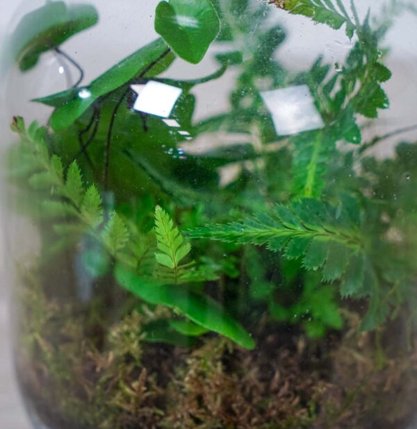 las-w-sloiku las-w-sloiku
