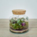 las-w-sloiku