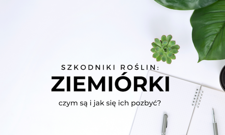 ziemiorki-szkodniki-roslin