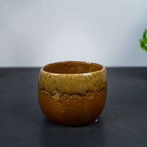 oslonka-runo-lesne-brazowa
