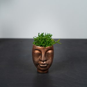 zestaw-rhipsalis-w-miedzianej-oslonce-glowa