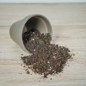 podloze-mieszanka-do-hoyi-peperomii-i-pieniazka-13l-zestaw-diy