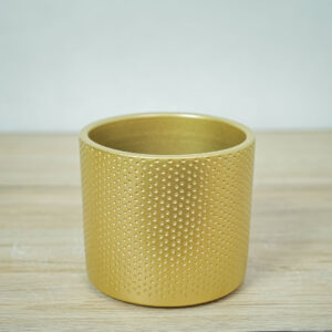 oslonka-golden-dots