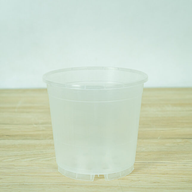 doniczka-plastikowa-do-przesadzania-przezroczysta doniczka-plastikowa-do-przesadzania-przezroczysta