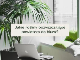 Rośliny w biurze