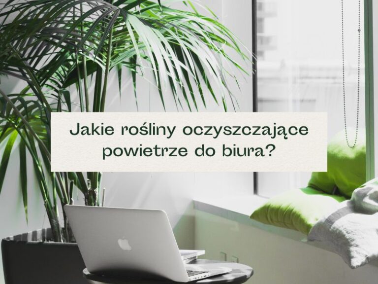 Rośliny w biurze