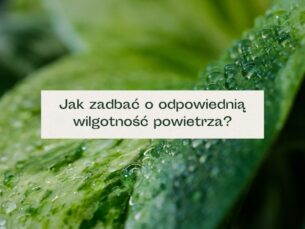Liście pokryte kroplami wody