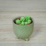 sedum-burrito-baby