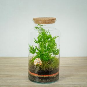 las-w-sloiku