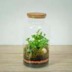 las-w-sloiku