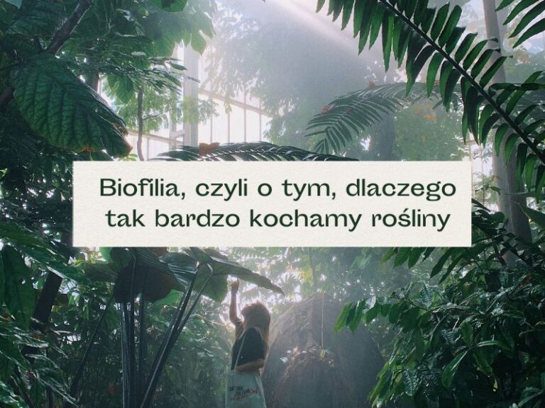 Osoba pośród natury