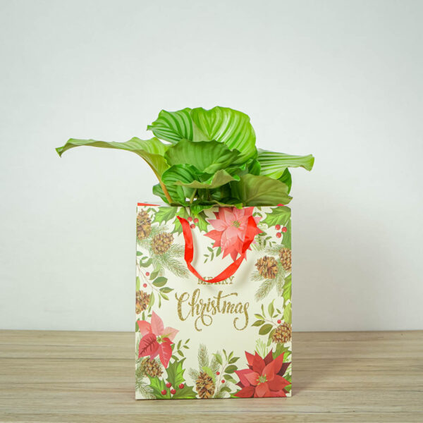 torba-swiateczna-merry-christmas-biala torba-swiateczna-merry-christmas-biala