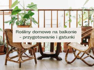 Rośliny domowe na balkonie