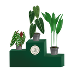 Zdjęcie placeholder