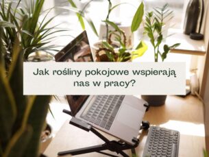 Biurko z komputerem do pracy i kilkoma roślinami.
