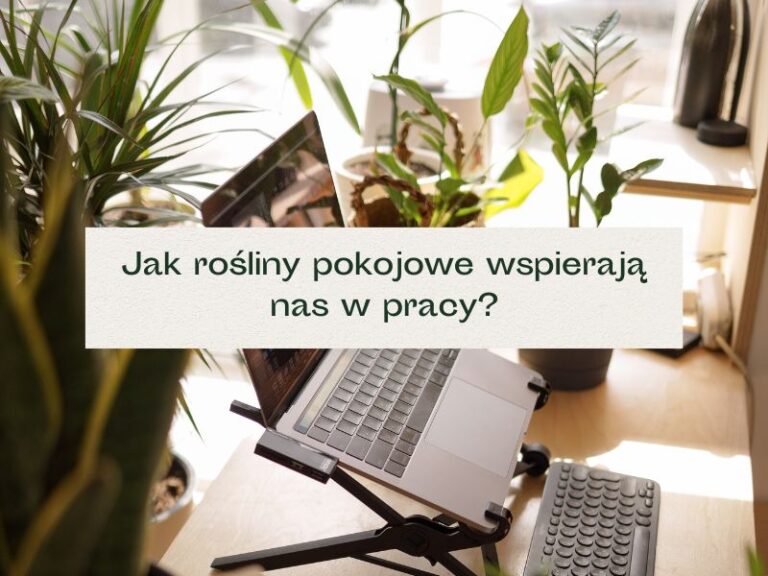 Biurko z komputerem do pracy i kilkoma roślinami.