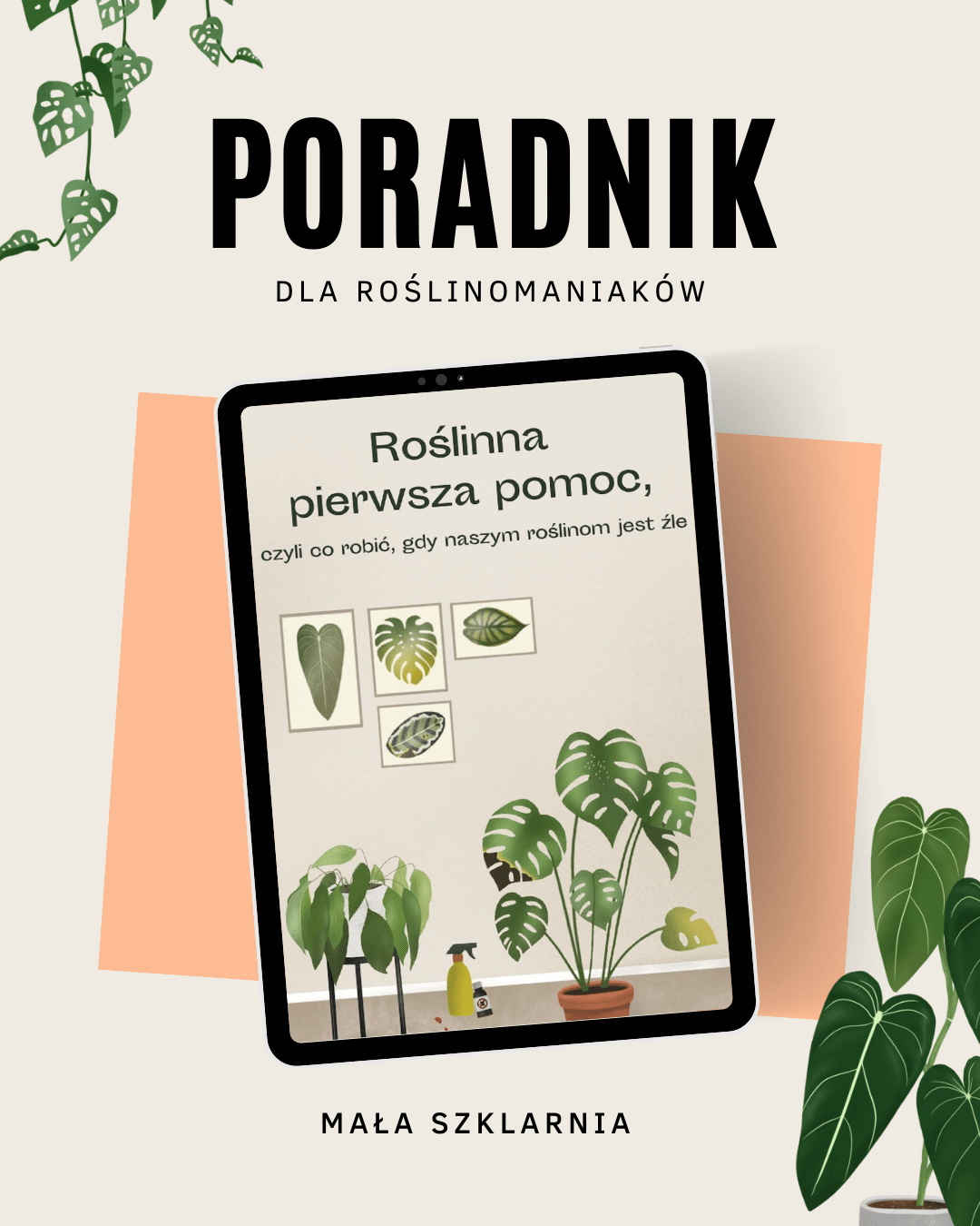 roslinna-pierwsza-pomoc-ebook-mala-szklarnia okładka