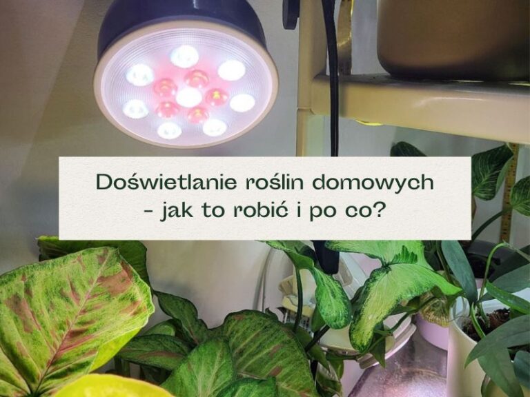 Lampa do doświetlania roślin