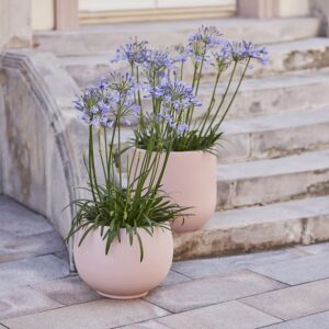 Donica Haloes Pela Natural Pink Salt