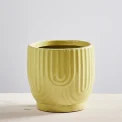 Osłonka ryflowane łuki zielona 14,7 x 14 cm